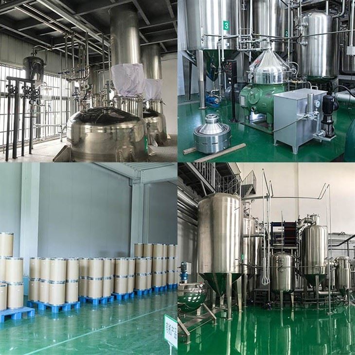 Organic Wild Blueberry Powder factory